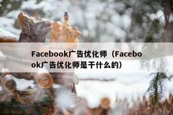 Facebook广告优化师（Facebook广告优化师是干什么的） 第1张