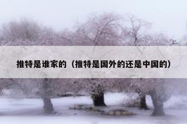 推特是谁家的(推特是国外的还是中国的) 第1张 推特是谁家的(推特是国外的还是中国的) 第1张