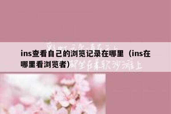 ins查看自己的浏览记录在哪里（ins在哪里看浏览者） 第1张
