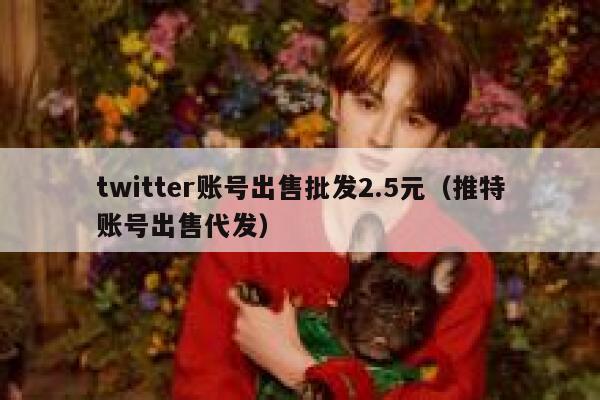 twitter账号出售批发2.5元（推特账号出售代发） 第1张