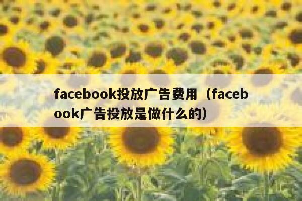 facebook投放广告费用(facebook广告投放是做什么的) 第1张 facebook投放广告费用(facebook广告投放是做什么的) 第1张
