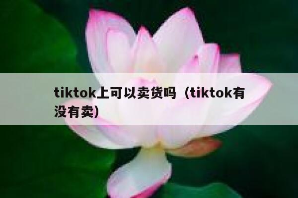 tiktok上可以卖货吗（tiktok有没有卖） 第1张