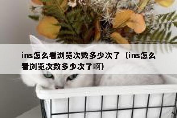 ins怎么看浏览次数多少次了（ins怎么看浏览次数多少次了啊） 第1张