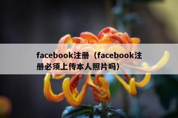 facebook注册（facebook注册必须上传本人照片吗） 第1张