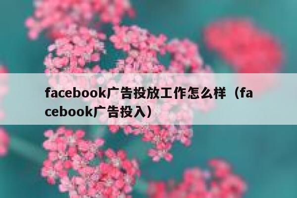 facebook广告投放工作怎么样（facebook广告投入） 第1张