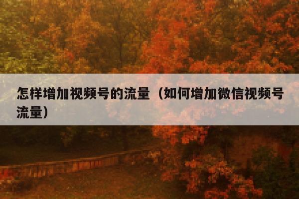 怎样增加视频号的流量（如何增加微信视频号流量） 第1张