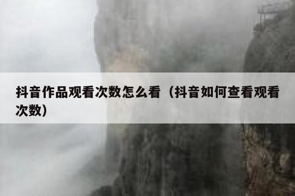 抖音作品观看次数怎么看（抖音如何查看观看次数） 第1张