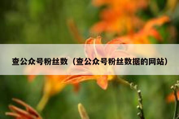 查公众号粉丝数（查公众号粉丝数据的网站） 第1张