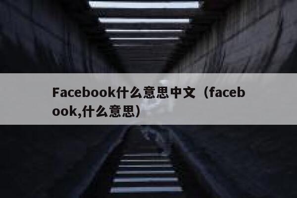 Facebook什么意思中文（facebook,什么意思） 第1张