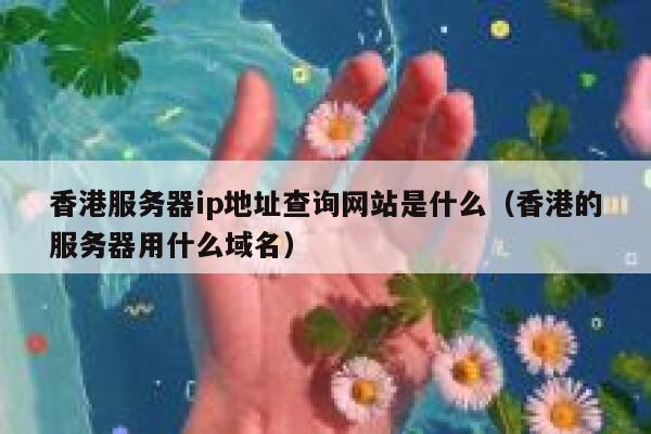 香港服务器ip地址查询网站是什么（香港的服务器用什么域名） 第1张