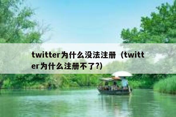 twitter为什么没法注册（twitter为什么注册不了?） 第1张