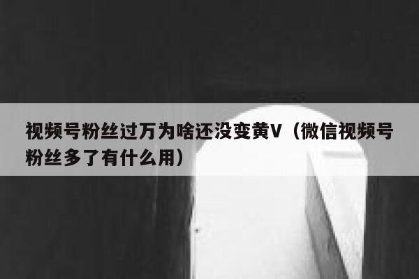 视频号粉丝过万为啥还没变黄V（微信视频号粉丝多了有什么用） 第1张