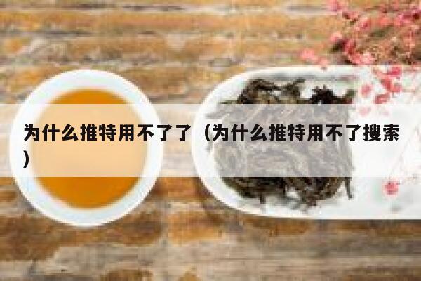 为什么推特用不了了（为什么推特用不了搜索） 第1张