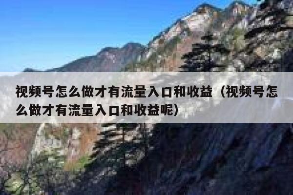 视频号怎么做才有流量入口和收益（视频号怎么做才有流量入口和收益呢） 第1张