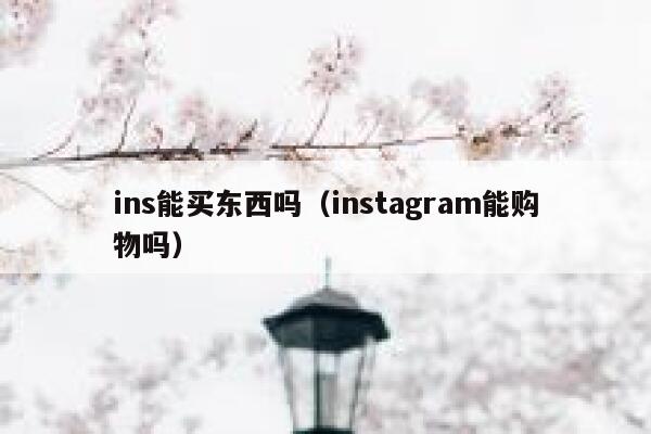 ins能买东西吗（instagram能购物吗） 第1张