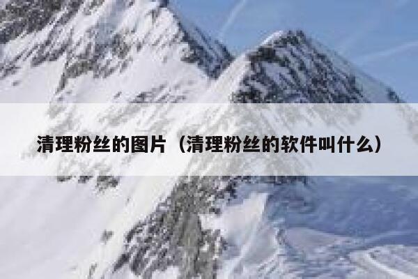 清理粉丝的图片（清理粉丝的软件叫什么） 第1张