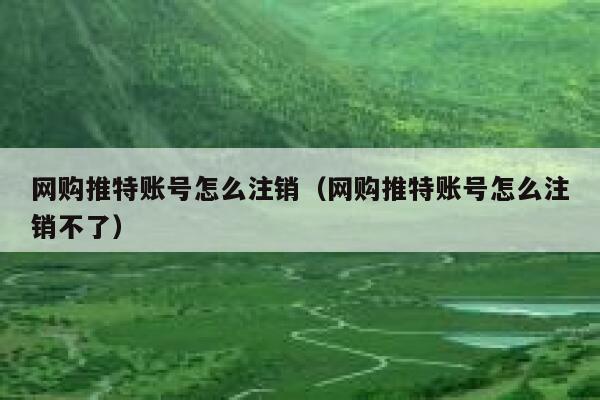 网购推特账号怎么注销（网购推特账号怎么注销不了） 第1张