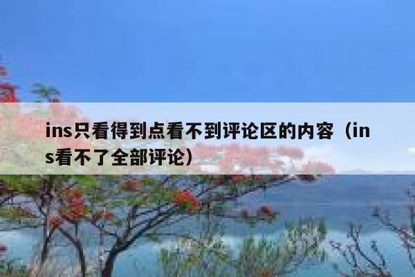 ins只看得到点看不到评论区的内容（ins看不了全部评论） 第1张