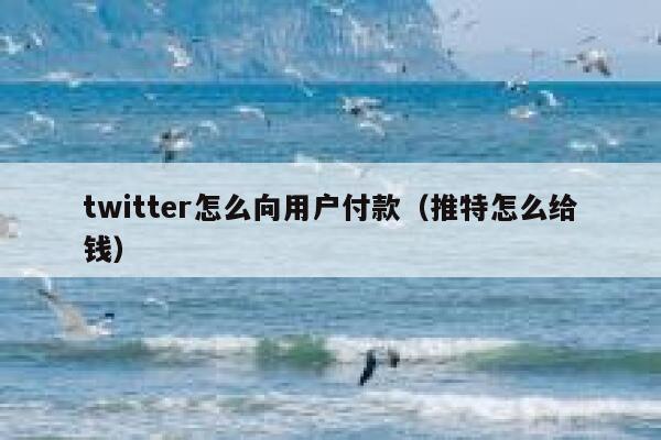 twitter怎么向用户付款（推特怎么给钱） 第1张