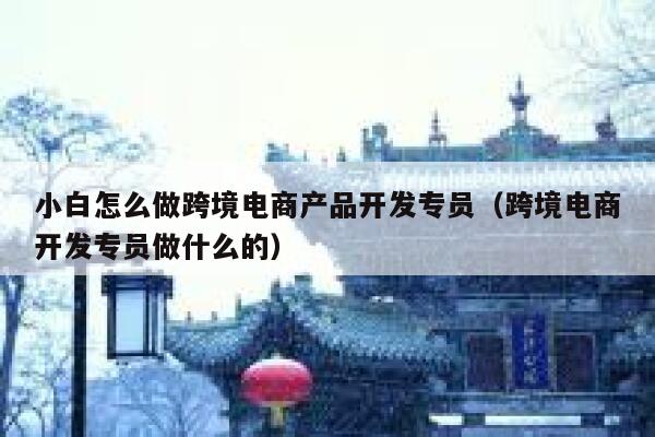 小白怎么做跨境电商产品开发专员（跨境电商开发专员做什么的） 第1张