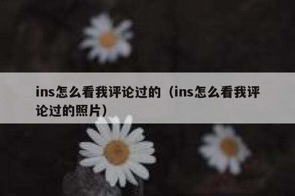 ins怎么看我评论过的（ins怎么看我评论过的照片） 第1张