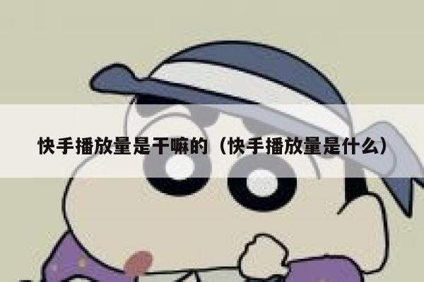 快手播放量是干嘛的（快手播放量是什么） 第1张