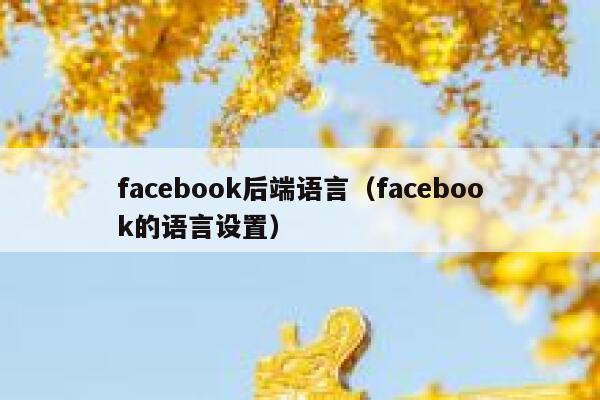 facebook后端语言（facebook的语言设置） 第1张