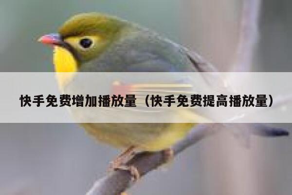 快手免费增加播放量（快手免费提高播放量） 第1张