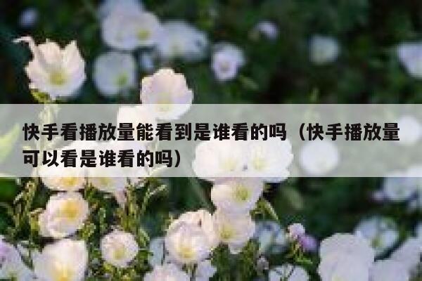 快手看播放量能看到是谁看的吗（快手播放量可以看是谁看的吗） 第1张