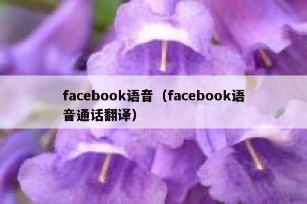 facebook语音（facebook语音通话翻译） 第1张