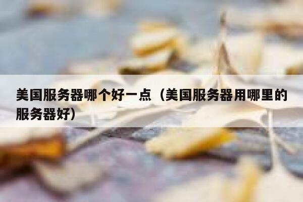 美国服务器哪个好一点（美国服务器用哪里的服务器好） 第1张