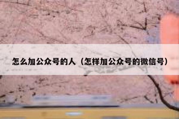 怎么加公众号的人（怎样加公众号的微信号） 第1张