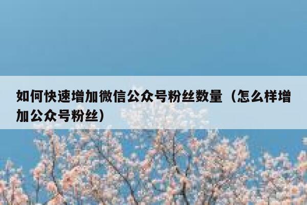 如何快速增加微信公众号粉丝数量（怎么样增加公众号粉丝） 第1张