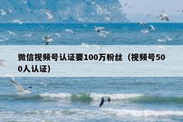 微信视频号认证要100万粉丝（视频号500人认证） 第1张