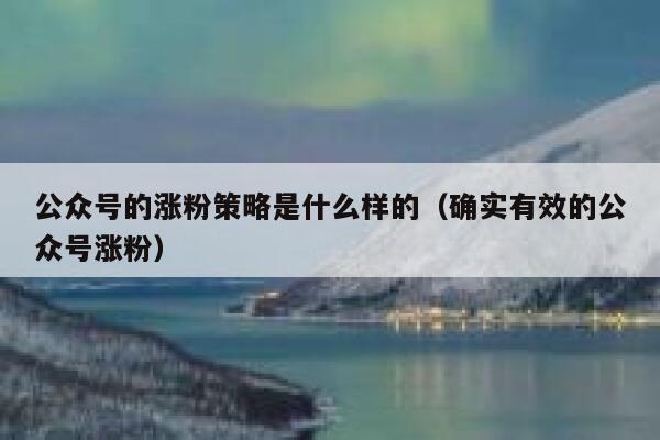 公众号的涨粉策略是什么样的（确实有效的公众号涨粉） 第1张