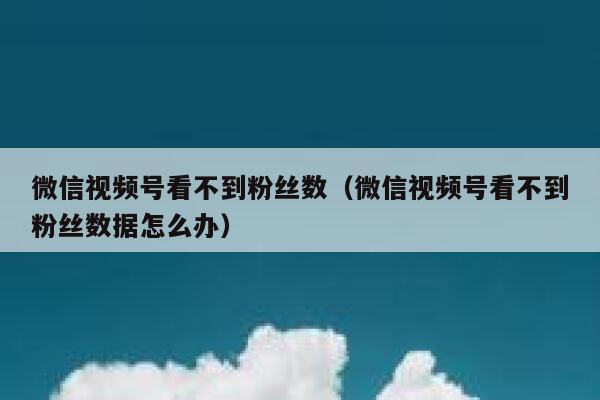 微信视频号看不到粉丝数（微信视频号看不到粉丝数据怎么办） 第1张