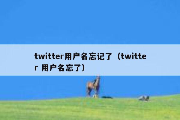 twitter用户名忘记了（twitter 用户名忘了） 第1张