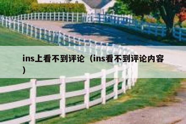 ins上看不到评论（ins看不到评论内容） 第1张