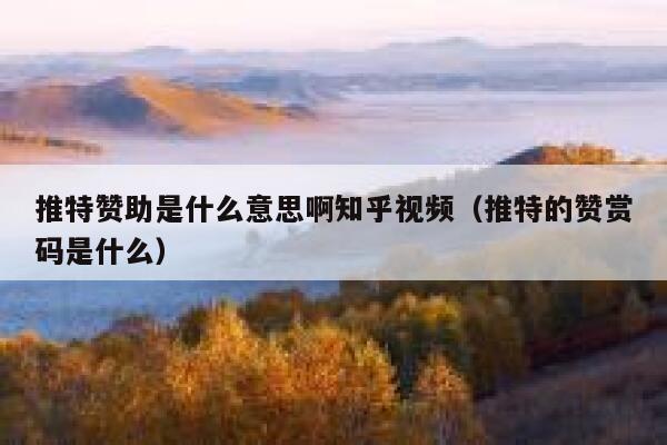 推特赞助是什么意思啊知乎视频（推特的赞赏码是什么） 第1张