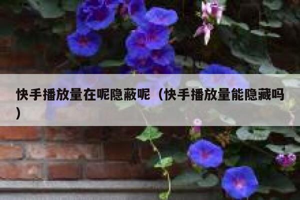 快手播放量在呢隐蔽呢（快手播放量能隐藏吗） 第1张