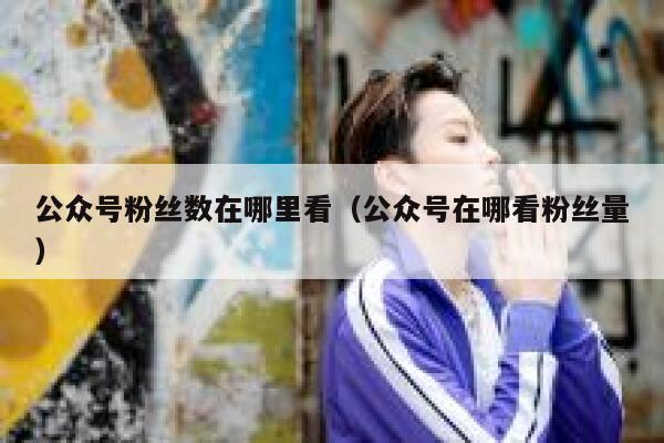 公众号粉丝数在哪里看（公众号在哪看粉丝量） 第1张