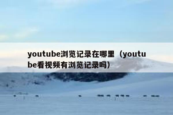 youtube浏览记录在哪里（youtube看视频有浏览记录吗） 第1张