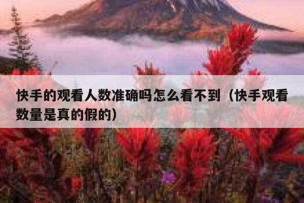 快手的观看人数准确吗怎么看不到（快手观看数量是真的假的） 第1张