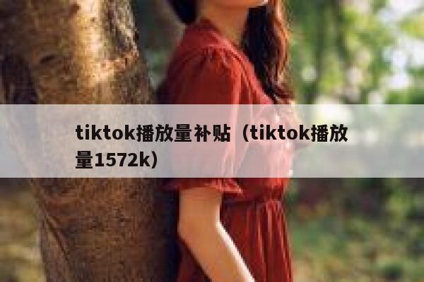 tiktok播放量补贴（tiktok播放量1572k） 第1张