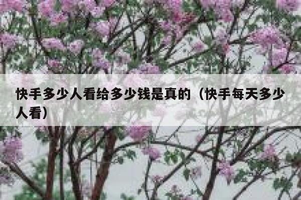 快手多少人看给多少钱是真的（快手每天多少人看） 第1张