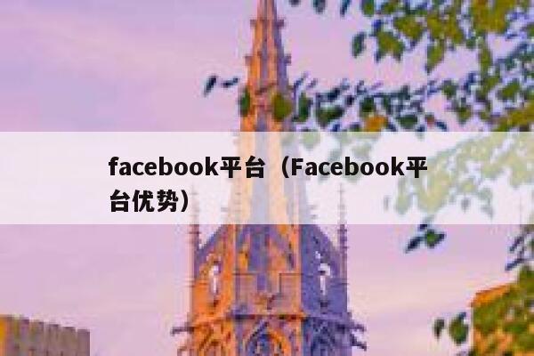 facebook平台（Facebook平台优势） 第1张