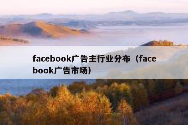 facebook广告主行业分布（facebook广告市场） 第1张