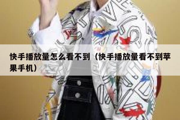 快手播放量怎么看不到（快手播放量看不到苹果手机） 第1张
