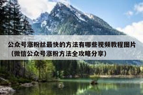 公众号涨粉丝最快的方法有哪些视频教程图片（微信公众号涨粉方法全攻略分享） 第1张