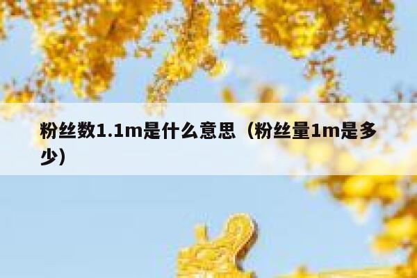 粉丝数1.1m是什么意思（粉丝量1m是多少） 第1张